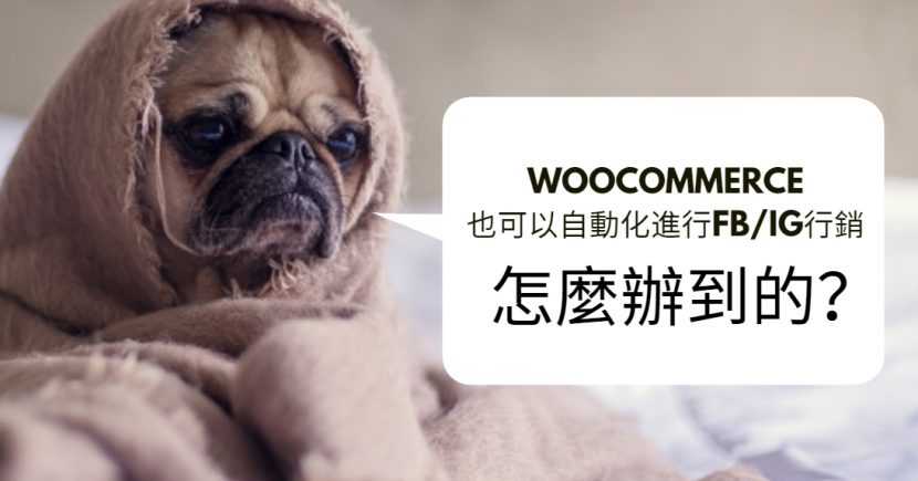WooCommerce也可以自動化進行FB/IG行銷，怎麼辦到的？
